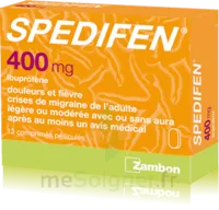 Spedifen 400 Mg, Comprimé Pelliculé Plq/12 à Libourne