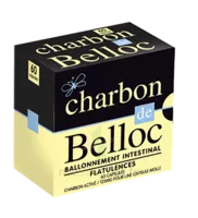 Charbon De Belloc 125 Mg Caps Molle B/60 à Libourne